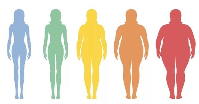 The large body index high
