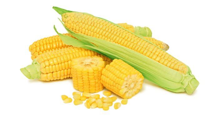 corn at Keto Black